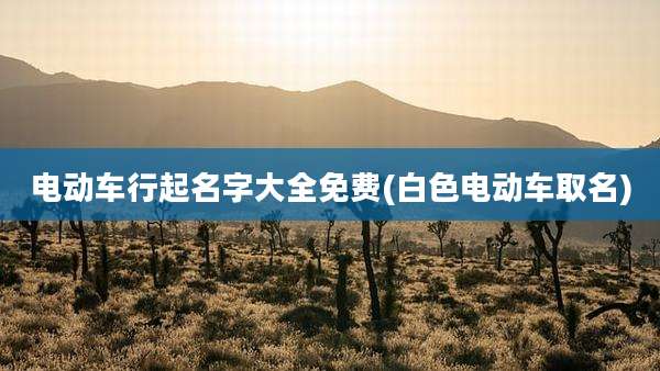 电动车行起名字大全免费(白色电动车取名)