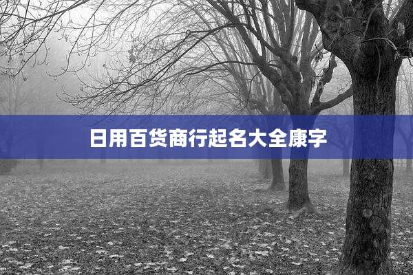 日用百货商行起名大全康字