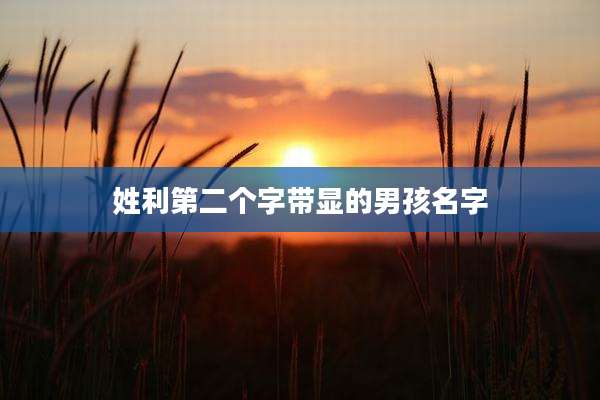 姓利第二个字带显的男孩名字