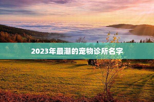 2023年最潮的宠物诊所名字