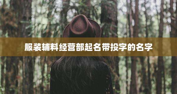 服装辅料经营部起名带投字的名字
