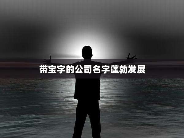 带宝字的公司名字蓬勃发展