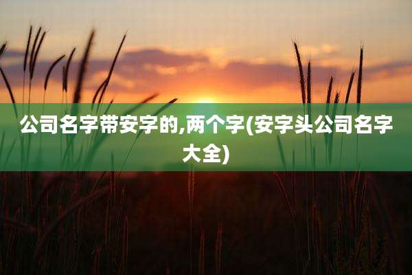 公司名字带安字的,两个字(安字头公司名字大全)