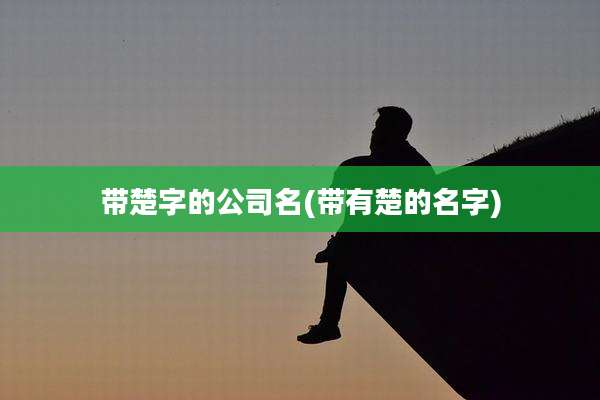 带楚字的公司名(带有楚的名字)