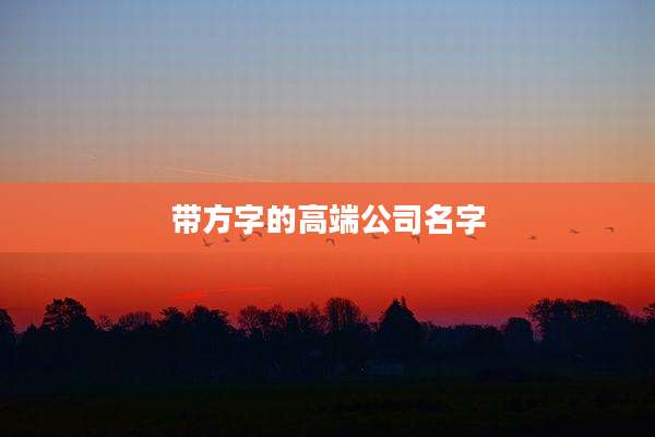 带方字的高端公司名字