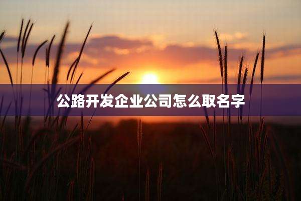 公路开发企业公司怎么取名字