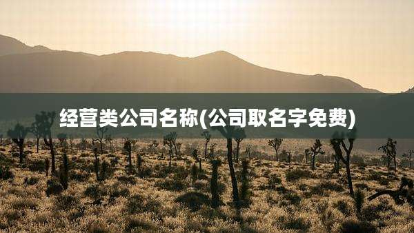 经营类公司名称(公司取名字免费)