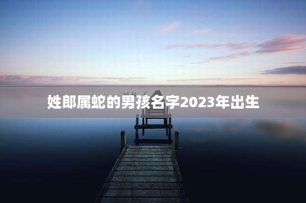 姓郎属蛇的男孩名字2023年出生