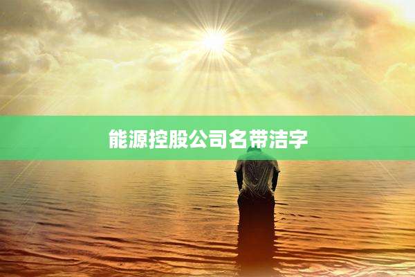 能源控股公司名带洁字