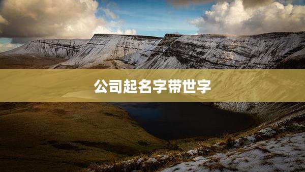 公司起名字带世字