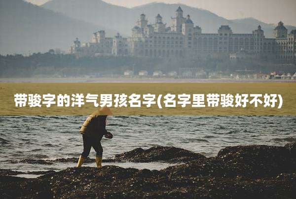 带骏字的洋气男孩名字(名字里带骏好不好)