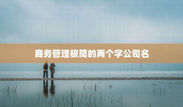 商务管理极简的两个字公司名