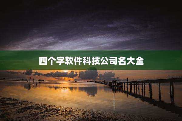 四个字软件科技公司名大全