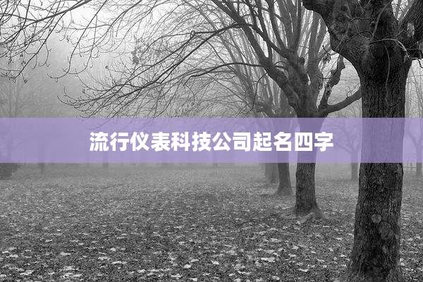 流行仪表科技公司起名四字