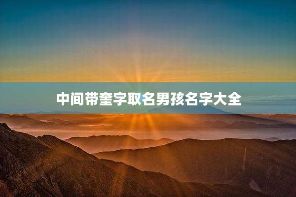 中间带奎字取名男孩名字大全