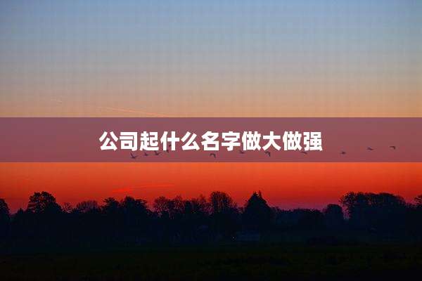 公司起什么名字做大做强