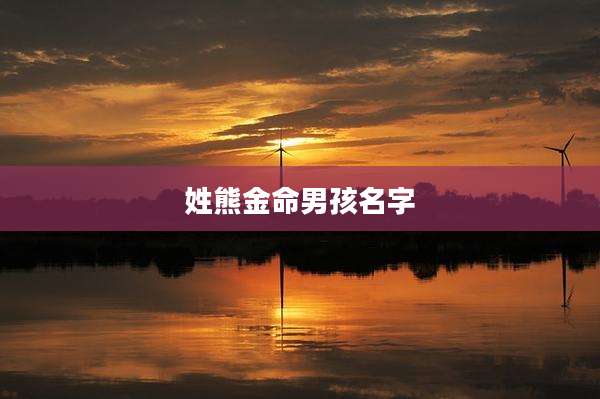 姓熊金命男孩名字