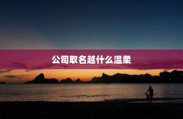 公司取名越什么温柔