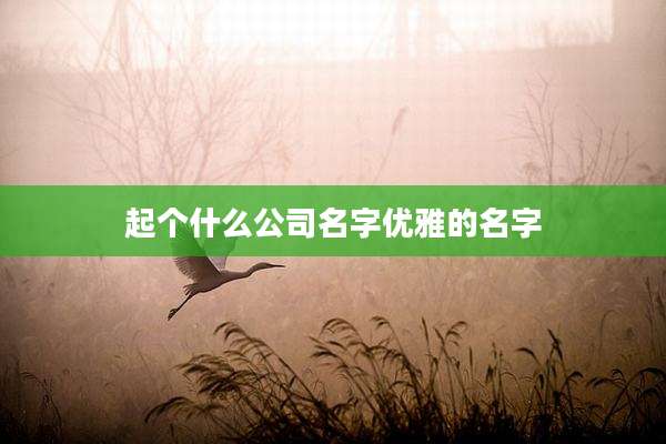 起个什么公司名字优雅的名字