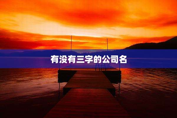 有没有三字的公司名