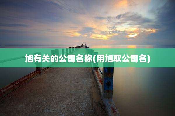旭有关的公司名称(用旭取公司名)