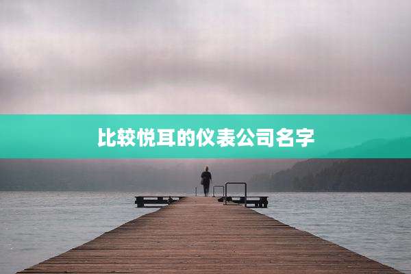 比较悦耳的仪表公司名字