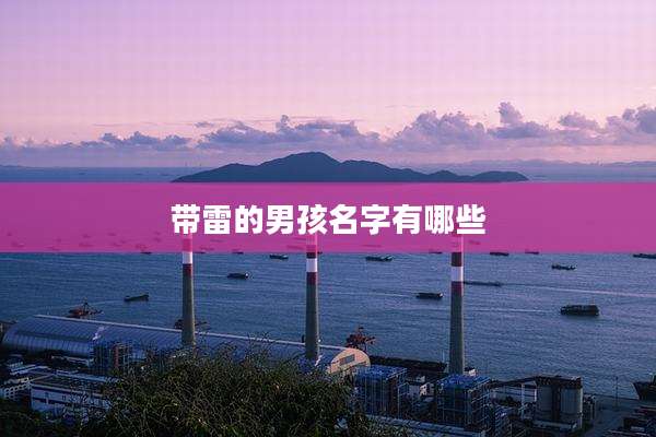 带雷的男孩名字有哪些