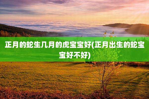 正月的蛇生几月的虎宝宝好(正月出生的蛇宝宝好不好)