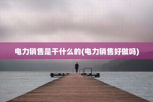 电力销售是干什么的(电力销售好做吗)
