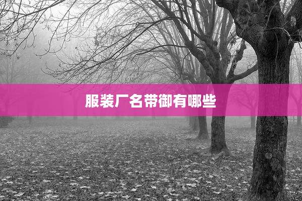 服装厂名带御有哪些