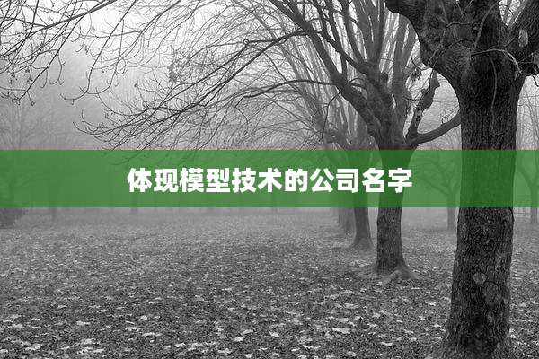 体现模型技术的公司名字