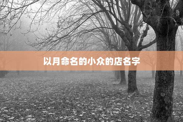 以月命名的小众的店名字