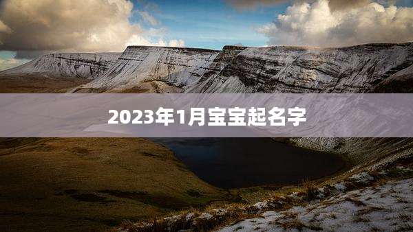 2023年1月宝宝起名字
