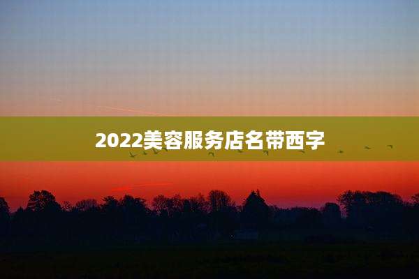 2022美容服务店名带西字