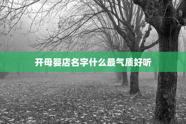 开母婴店名字什么最气质好听
