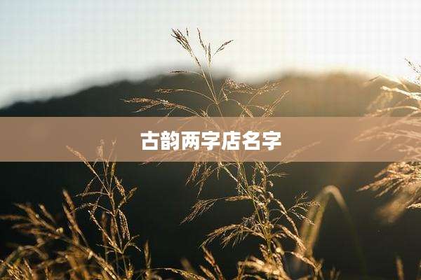 古韵两字店名字