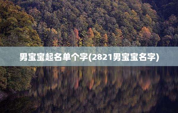 男宝宝起名单个字(2821男宝宝名字)