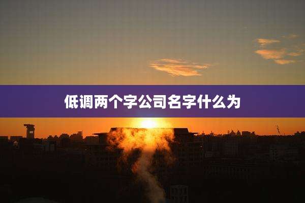 低调两个字公司名字什么为