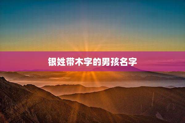 银姓带木字的男孩名字