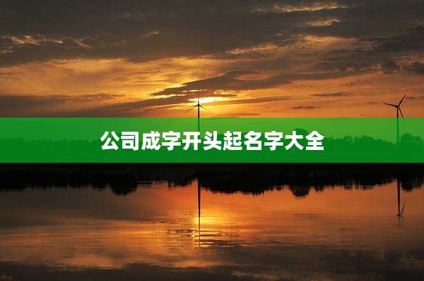公司成字开头起名字大全