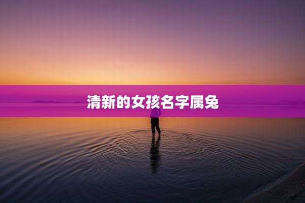 清新的女孩名字属兔