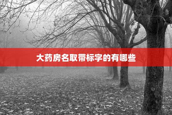 大药房名取带标字的有哪些