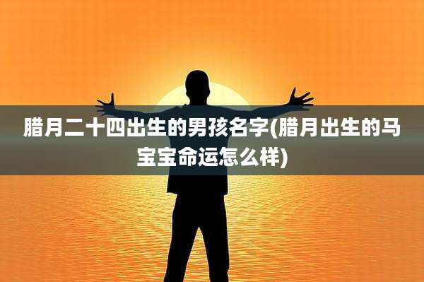 腊月二十四出生的男孩名字(腊月出生的马宝宝命运怎么样)