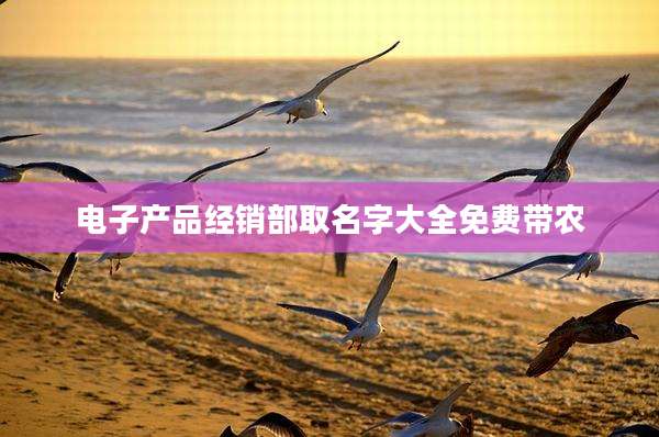 电子产品经销部取名字大全免费带农