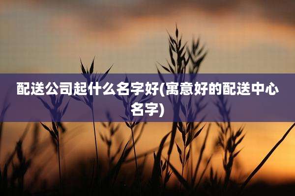 配送公司起什么名字好(寓意好的配送中心名字)