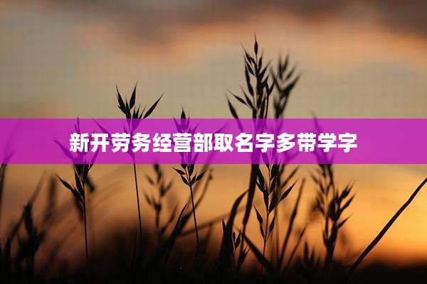 新开劳务经营部取名字多带学字