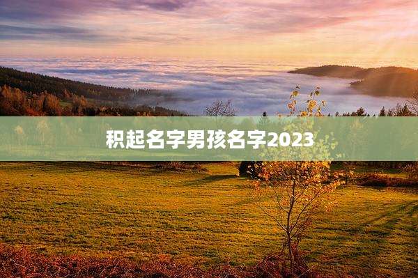 积起名字男孩名字2023