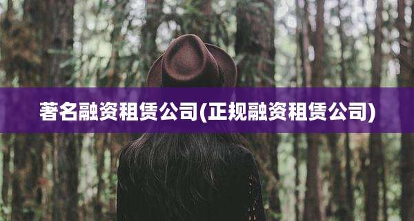 著名融资租赁公司(正规融资租赁公司)