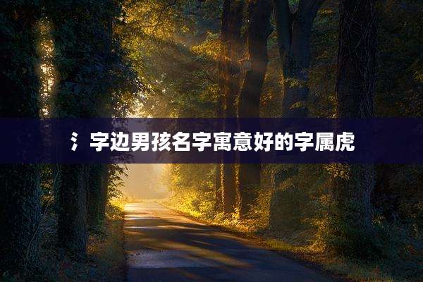 氵字边男孩名字寓意好的字属虎
