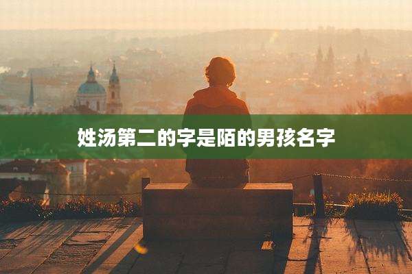 姓汤第二的字是陌的男孩名字